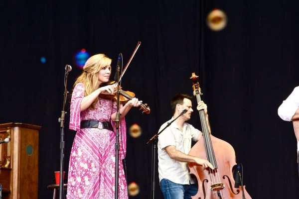 allisonkrauss
