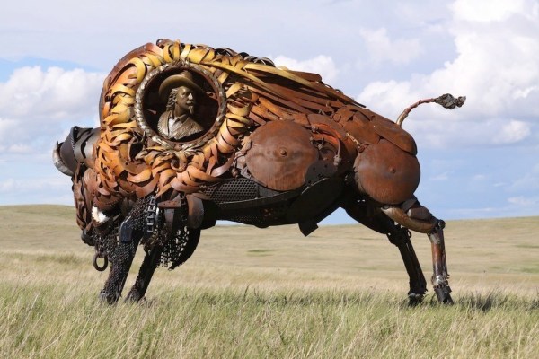 Wild West Buffalo