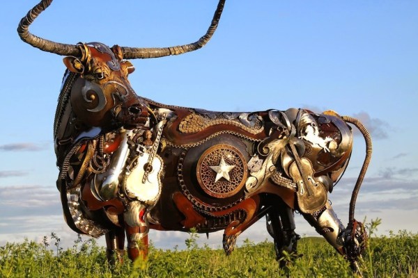 Texas Longhorn