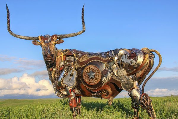 Texas-Longhorn-1
