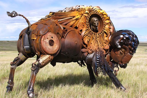 Wild-West-Buffalo