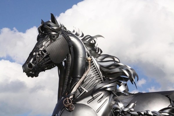 Friesian
