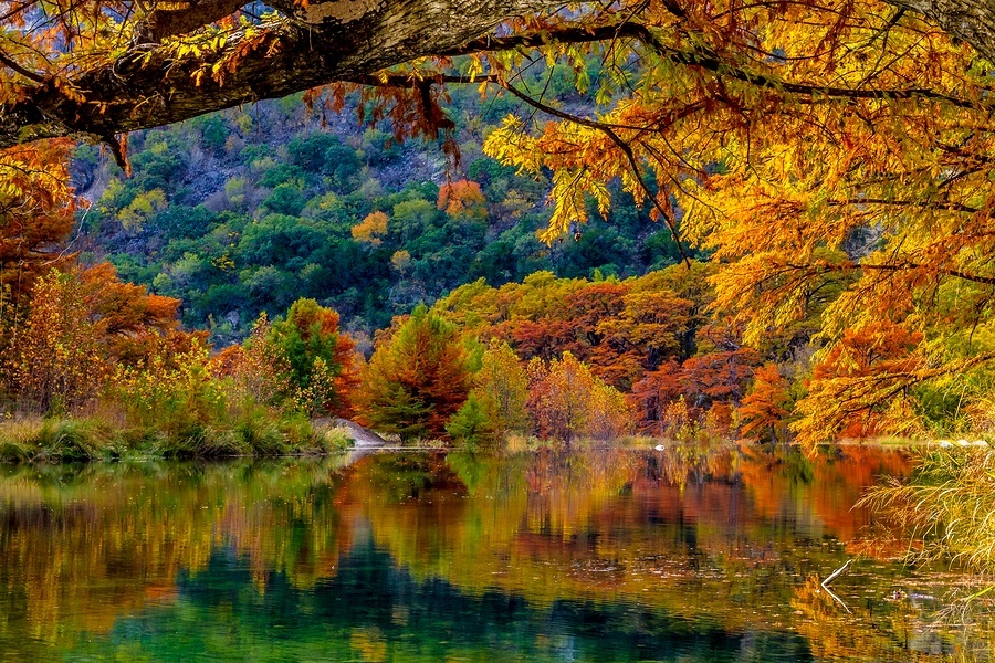 fall foliage
