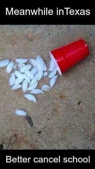 Snowpocalypse