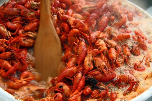 Stirring Crawfish