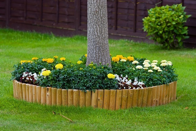 Plants That Repel Mosquitoes