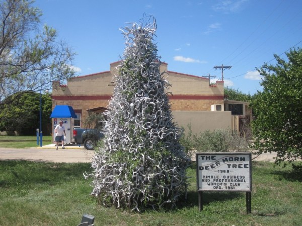 treeee