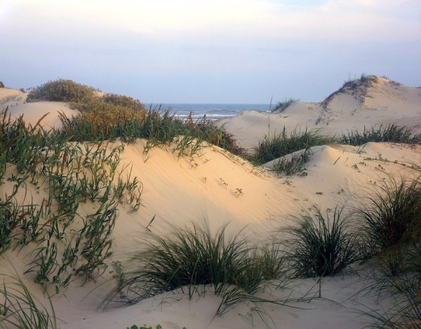 Padre Island Seashore