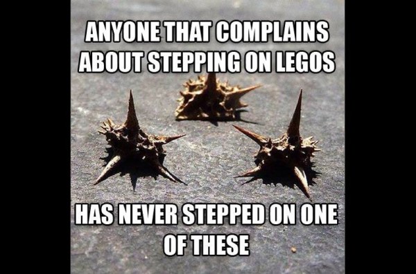 Image via The Meta Picture