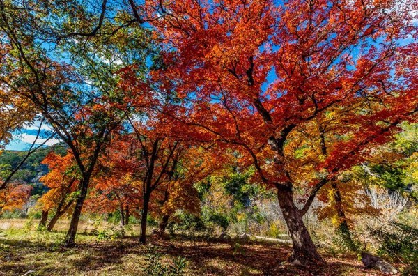 Autumn in Texas