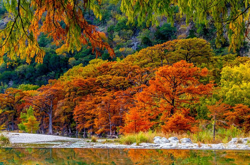 Autumn in Texas