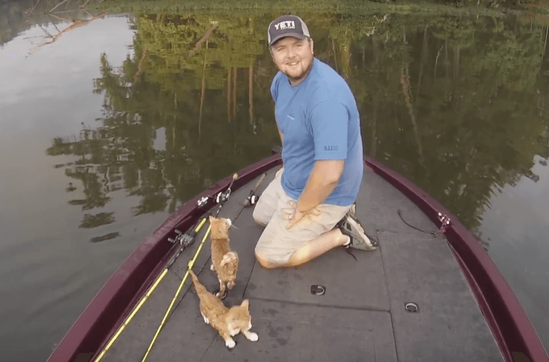 country songs about cats