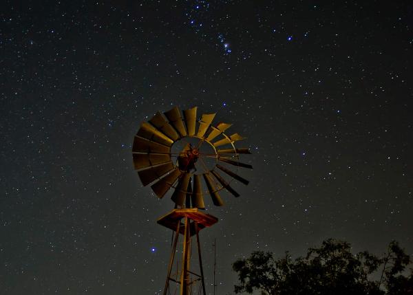 Image via Texas Parks and Wildlife