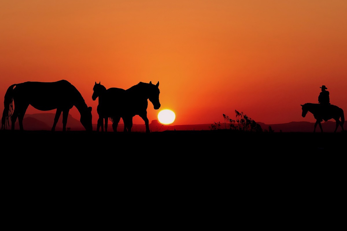 best Western novels