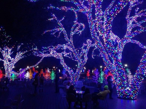 Image via Yelp