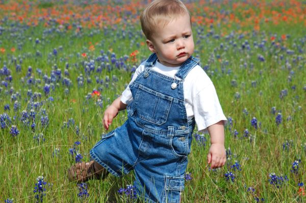 bluebonnet photos