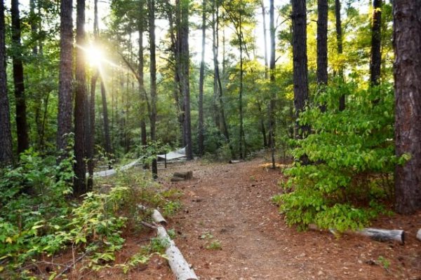 Image via Retreat in the Pines