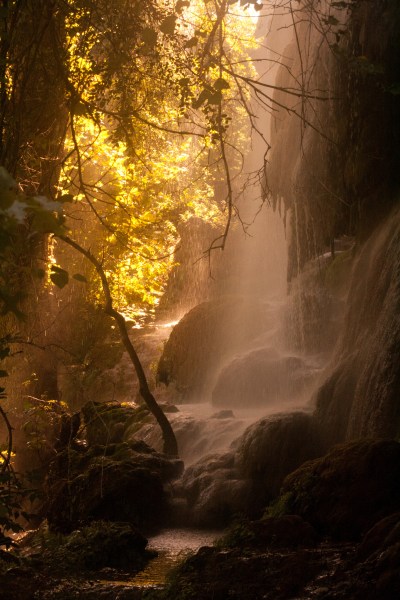 Flickr/Tracy Keller