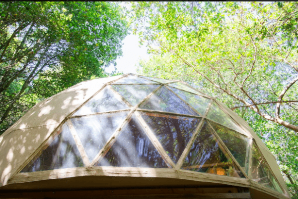 Airbnb