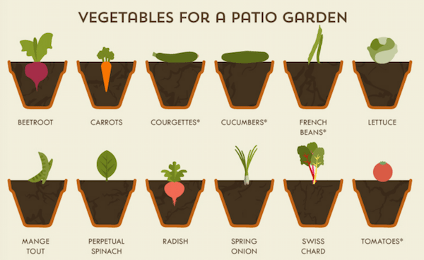 Vegetable Garden Cheat Sheet 