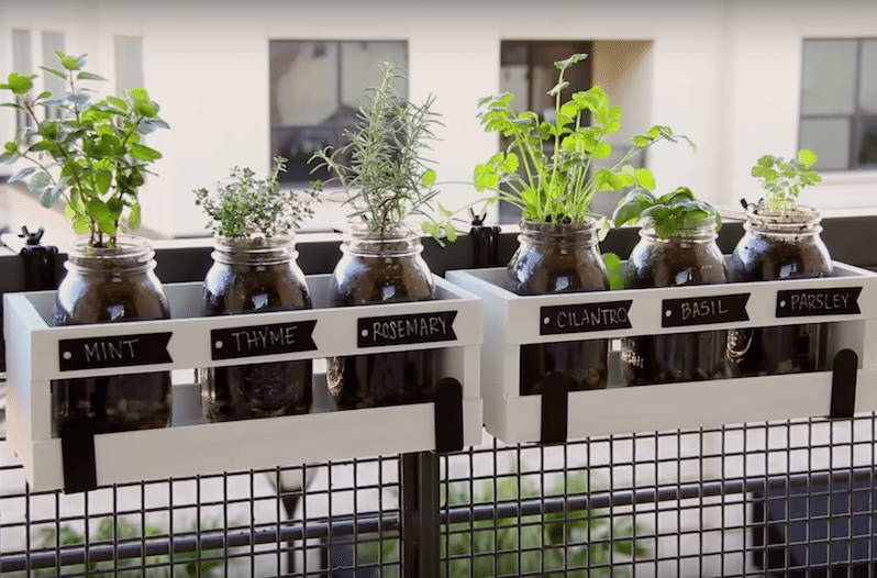 Easy DIY Mason Jar herb garden