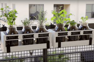 Easy DIY Mason Jar herb garden