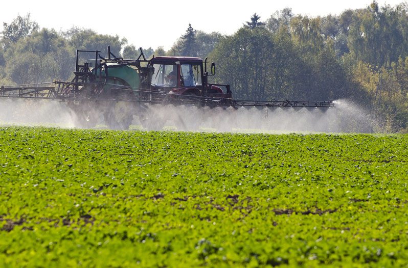 pros and cons of GMOs