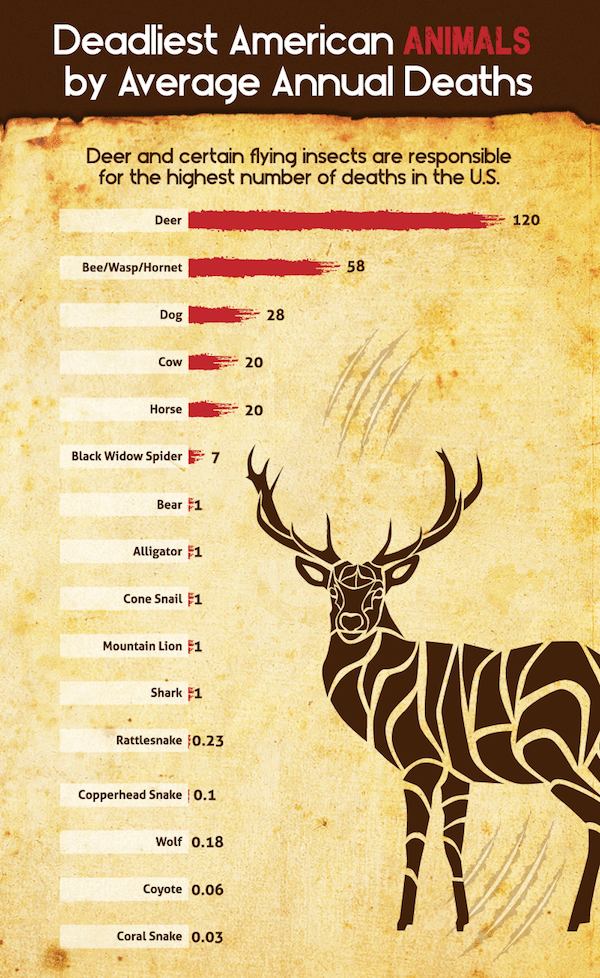 deadliest animals in the us