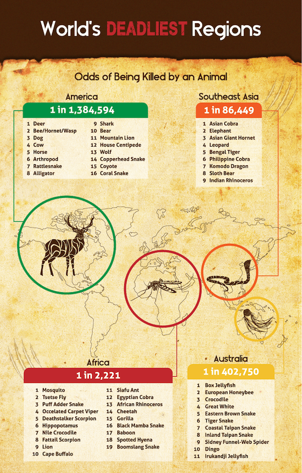 deadliest animals in the us