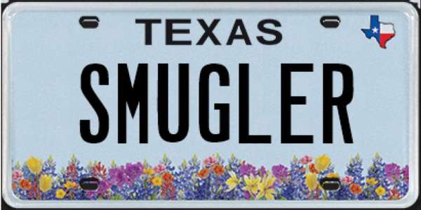 Texas DMV
