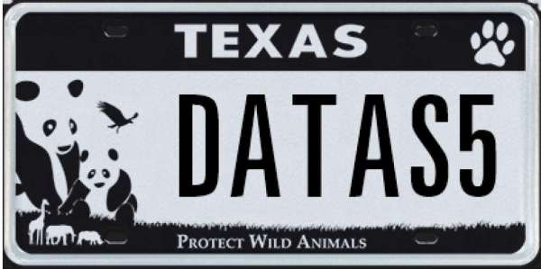 Texas DMV