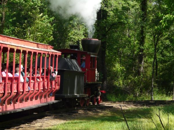 Runaway Fright Train