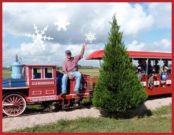 Texas Christmas Tree Farms