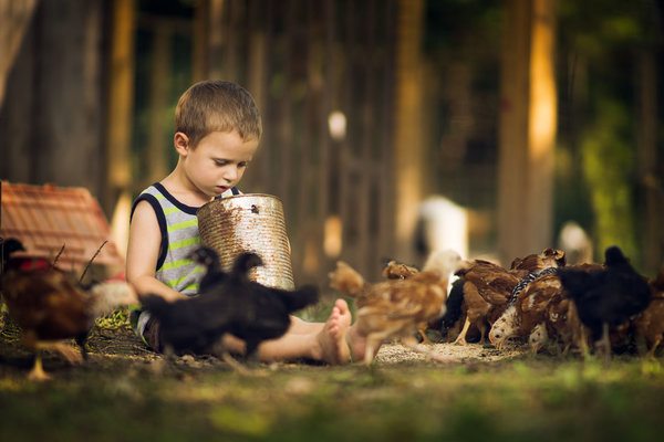 Phillip Haumesser Photography