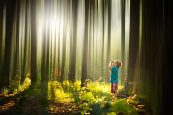 Phillip Haumesser Photography