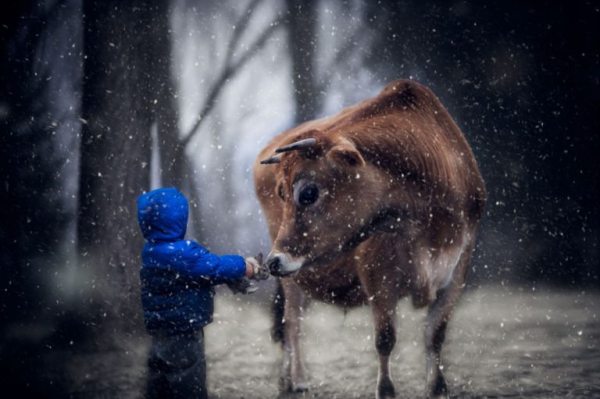 Phillip Haumesser Photography