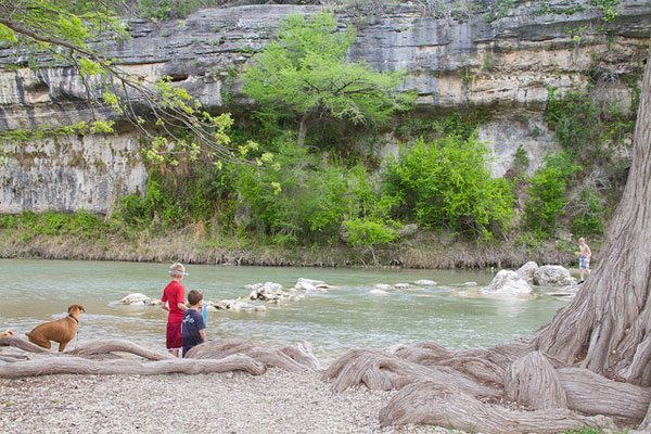 Flickr/Trek Texas