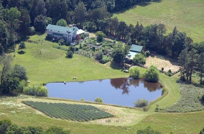 Bluebird Hill Farm Essay Contest