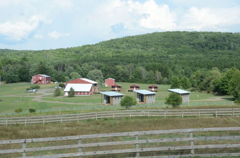 Farm Sanctuary