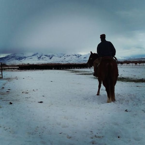 glaser ranch 3