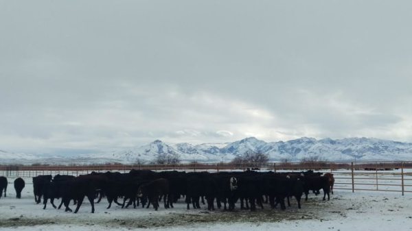 Glaser Ranch
