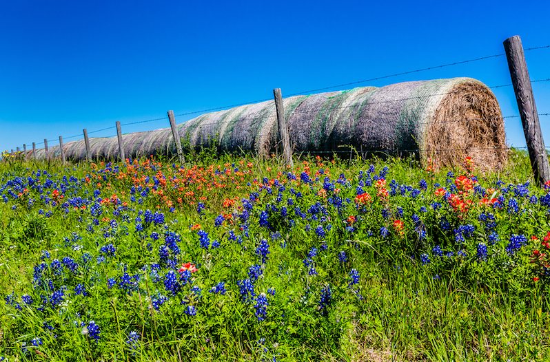 panhandle