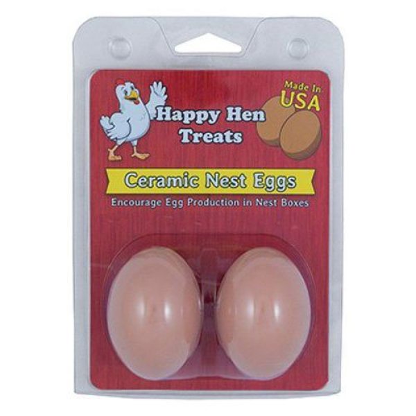 hen eggs