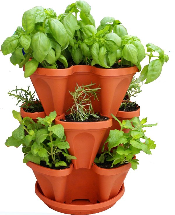 planter