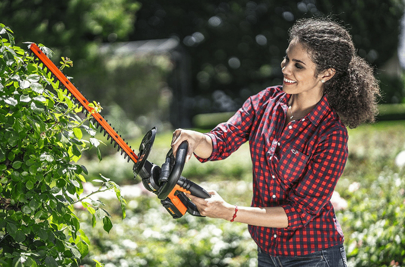 hedge trimmer