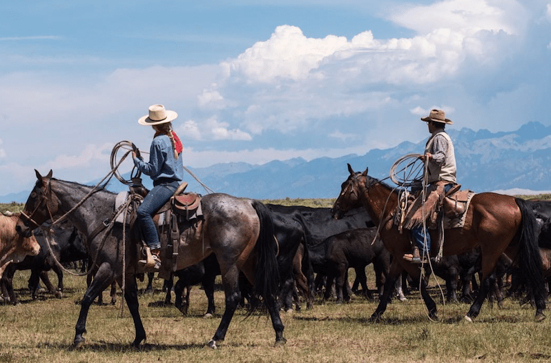 ranchlands