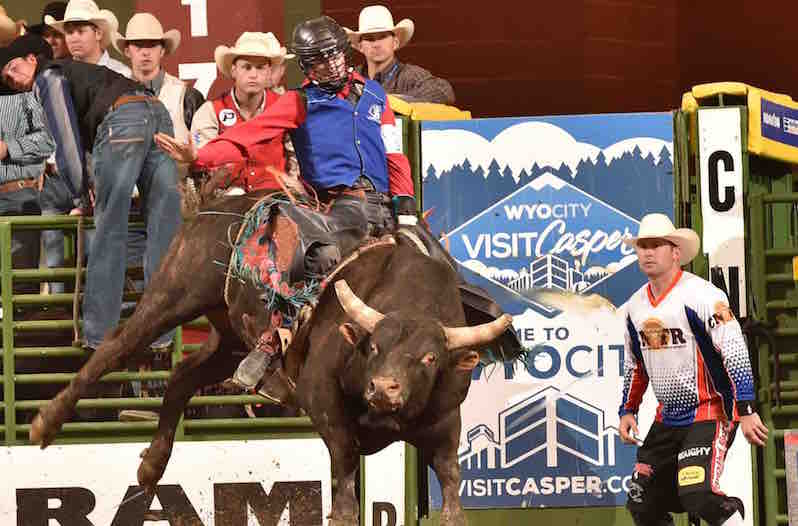 Bull Rider