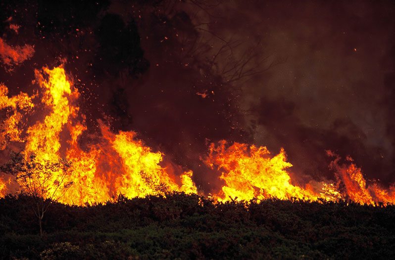 fire