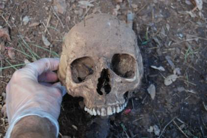 Body Farms Texas