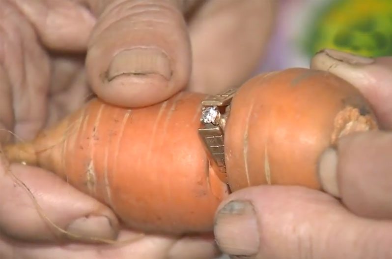 carrot ring